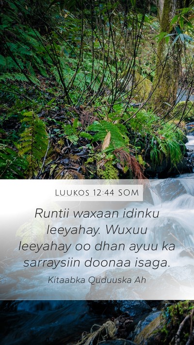 Luukos 12:44 SOM Bible Verse Image