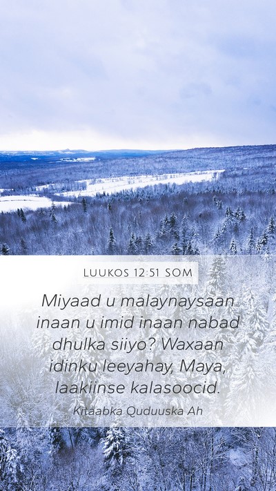 Luukos 12:51 SOM Bible Verse Image