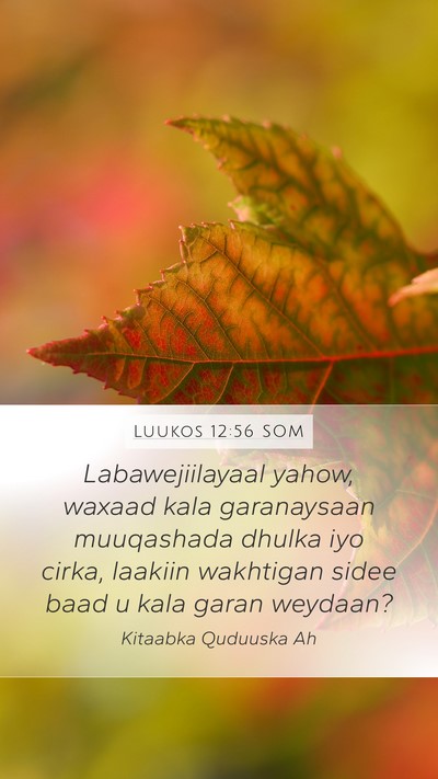 Luukos 12:56 SOM Bible Verse Image