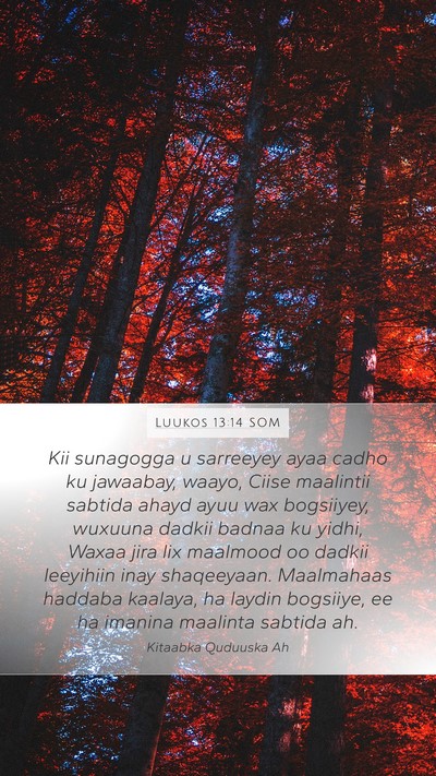 Luukos 13:14 SOM Bible Verse Image