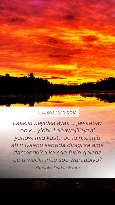 Luukos 13:15 SOM Bible Verse Image