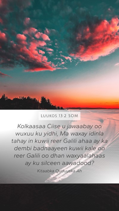 Luukos 13:2 SOM Bible Verse Image