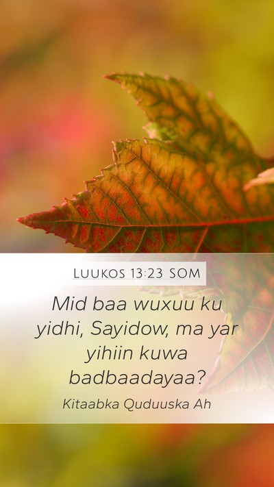 Luukos 13:23 SOM Bible Verse Image