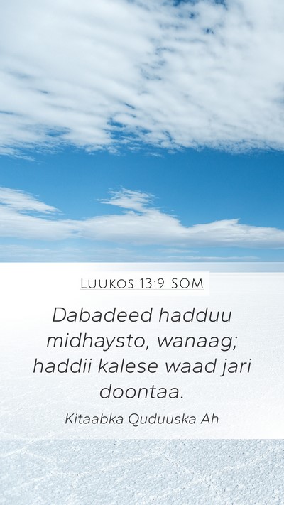 Luukos 13:9 SOM Bible Verse Image
