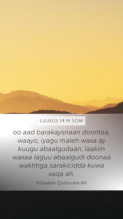 Luukos 14:14 SOM Bible Verse Image
