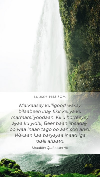 Luukos 14:18 SOM Bible Verse Image