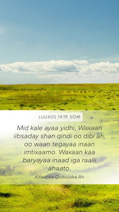 Luukos 14:19 SOM Mobile Phone Wallpaper - Mid kale ayaa yidhi, Waxaan iibsaday shan qindi - Mobile Bible Verse Wallpaper