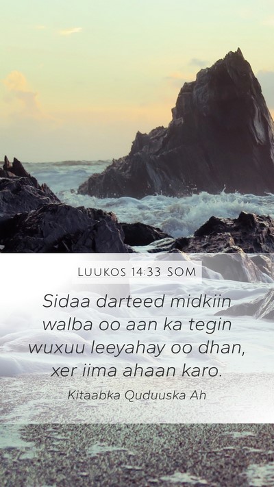 Luukos 14:33 SOM Bible Verse Image