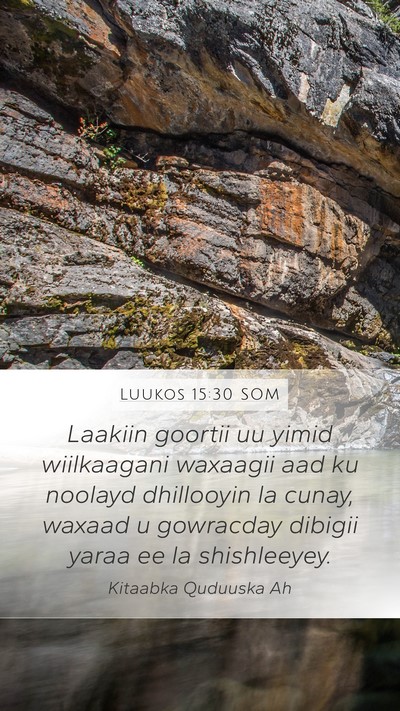 Luukos 15:30 SOM Bible Verse Image