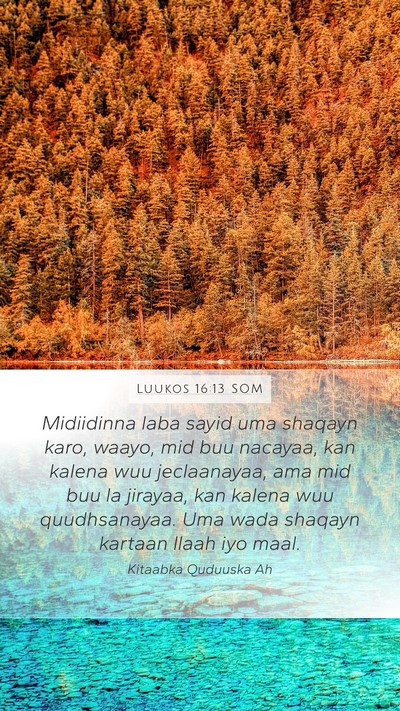 Luukos 16:13 SOM Bible Verse Image