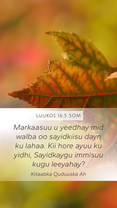 Luukos 16:5 SOM Mobile Phone Wallpaper - Markaasuu u yeedhay mid walba oo sayidkiisu dayn - Mobile Bible Verse Wallpaper