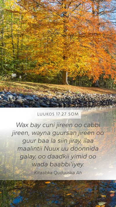 Luukos 17:27 SOM Bible Verse Image