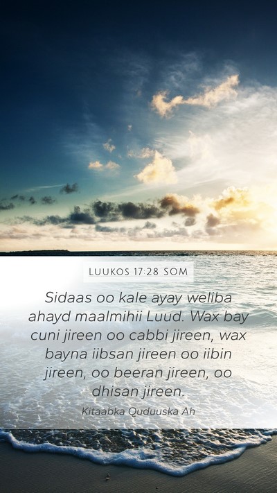 Luukos 17:28 SOM Bible Verse Image