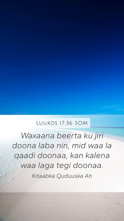 Luukos 17:36 SOM Mobile Phone Wallpaper - Waxaana beerta ku jiri doona laba nin, mid waa la - Mobile Bible Verse Wallpaper
