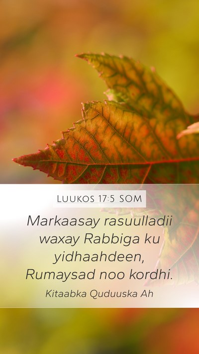 Luukos 17:5 SOM Mobile Phone Wallpaper - Markaasay rasuulladii waxay Rabbiga ku - Mobile Bible Verse Wallpaper