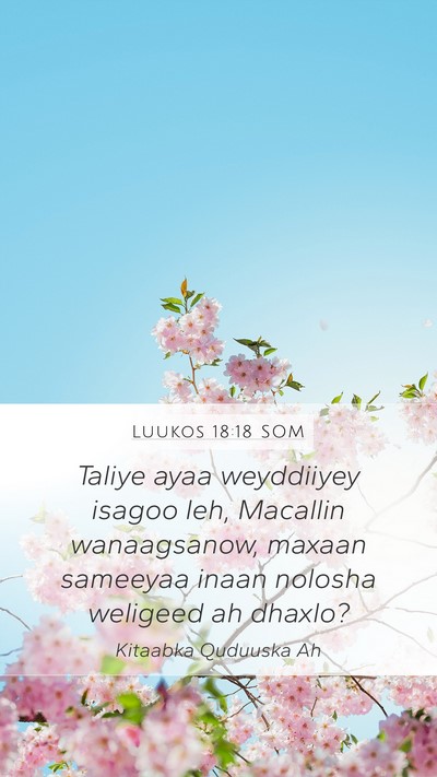 Luukos 18:18 SOM Bible Verse Image