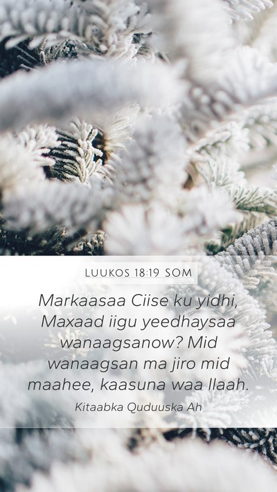 Luukos 18:19 SOM Mobile Phone Wallpaper - Markaasaa Ciise ku yidhi, Maxaad iigu yeedhaysaa - Mobile Bible Verse Wallpaper