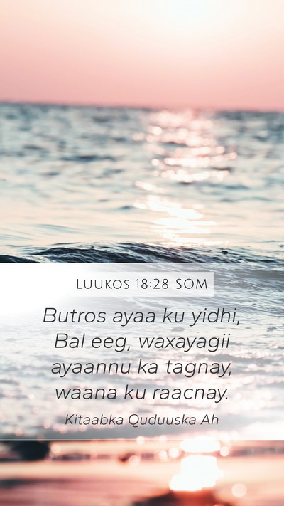 Luukos 18:28 SOM Bible Verse Image