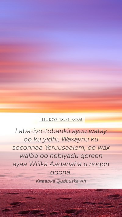 Luukos 18:31 SOM Bible Verse Image