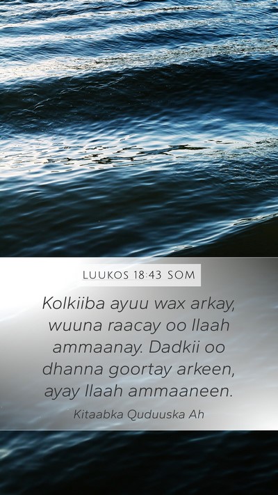 Luukos 18:43 SOM Bible Verse Image