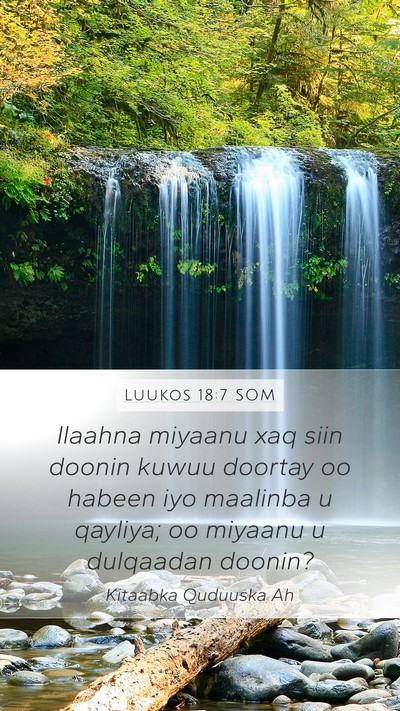 Luukos 18:7 SOM Bible Verse Image
