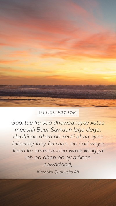 Luukos 19:37 SOM Bible Verse Image