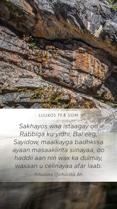 Luukos 19:8 SOM Bible Verse Image