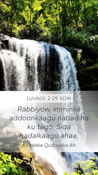 Luukos 2:29 SOM Bible Verse Image