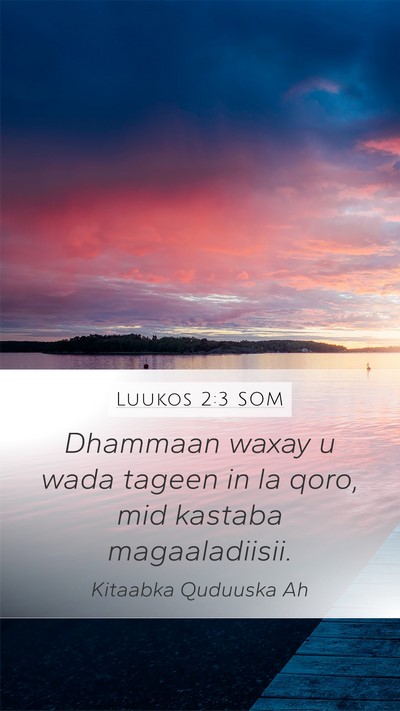Luukos 2:3 SOM Bible Verse Image