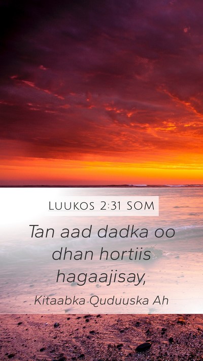 Luukos 2:31 SOM Mobile Phone Wallpaper - Tan aad dadka oo dhan hortiis - Mobile Bible Verse Wallpaper