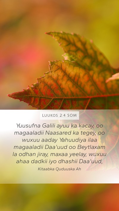 Luukos 2:4 SOM Bible Verse Image