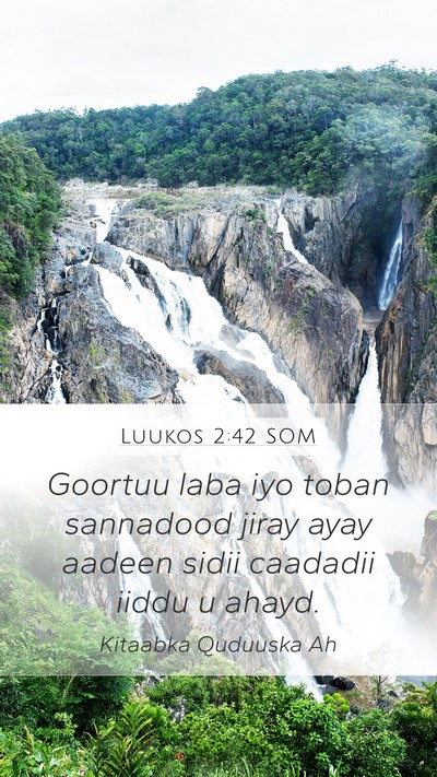 Luukos 2:42 SOM Bible Verse Image