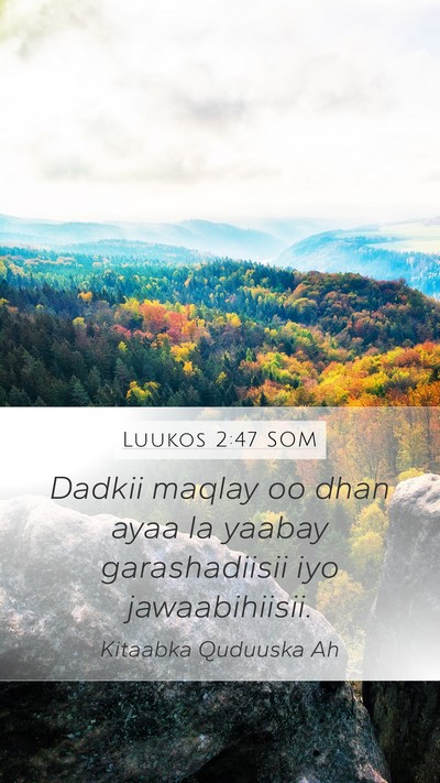Luukos 2:47 SOM Bible Verse Image