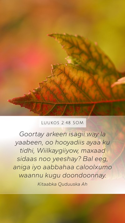 Luukos 2:48 SOM Mobile Phone Wallpaper - Goortay arkeen isagii way la yaabeen, oo - Mobile Bible Verse Wallpaper