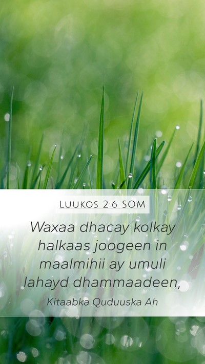 Luukos 2:6 SOM Bible Verse Image