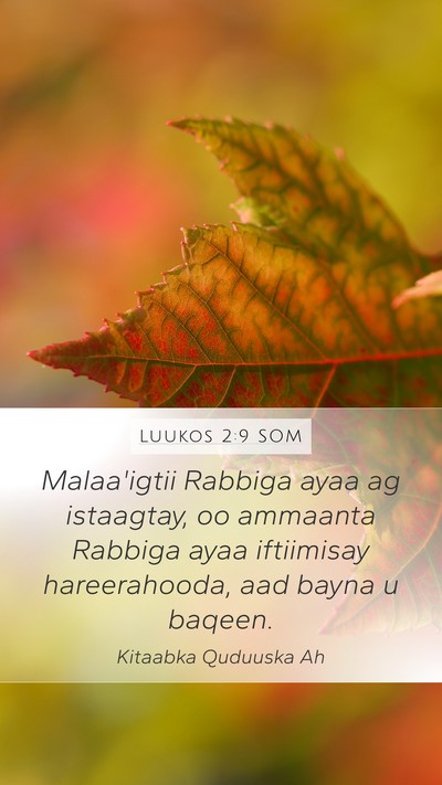 Luukos 2:9 SOM Mobile Phone Wallpaper - Malaa'igtii Rabbiga ayaa ag istaagtay, oo - Mobile Bible Verse Wallpaper