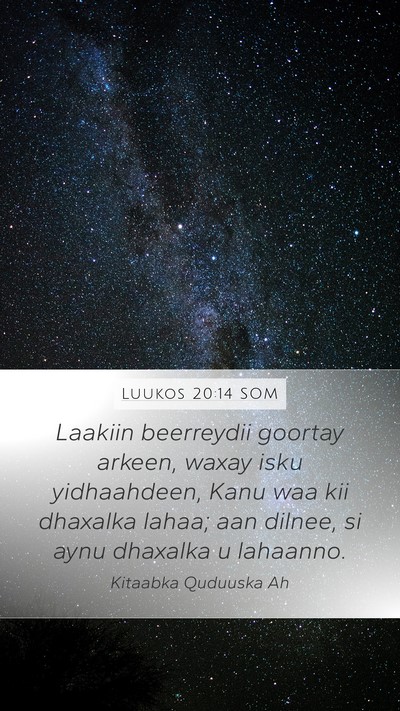 Luukos 20:14 SOM Mobile Phone Wallpaper - Laakiin beerreydii goortay arkeen, waxay isku - Mobile Bible Verse Wallpaper