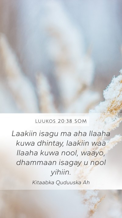 Luukos 20:38 SOM Mobile Phone Wallpaper - Laakiin isagu ma aha Ilaaha kuwa dhintay, laakiin - Mobile Bible Verse Wallpaper