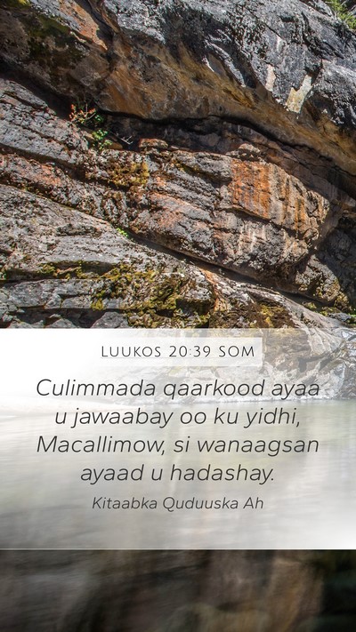 Luukos 20:39 SOM Bible Verse Image
