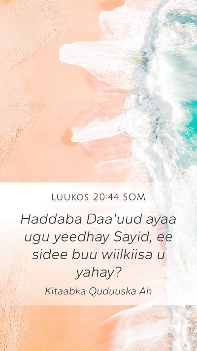 Luukos 20:44 SOM Mobile Phone Wallpaper - Haddaba Daa'uud ayaa ugu yeedhay Sayid, ee sidee - Mobile Bible Verse Wallpaper