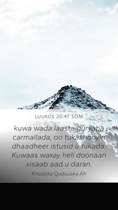 Luukos 20:47 SOM Bible Verse Image