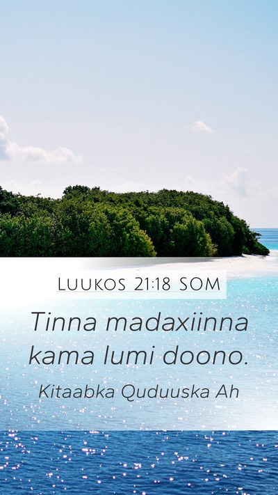 Luukos 21:18 SOM Bible Verse Image