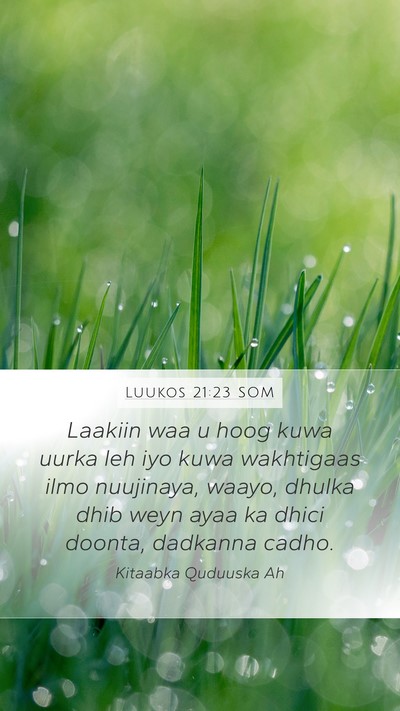 Luukos 21:23 SOM Bible Verse Image