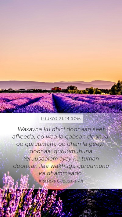 Luukos 21:24 SOM Bible Verse Image