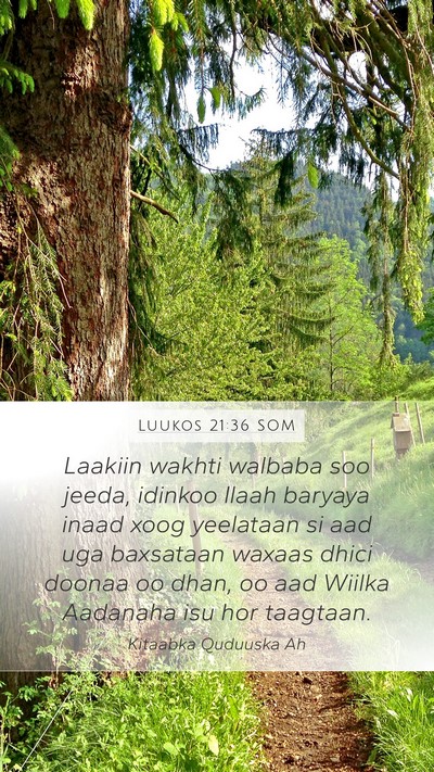 Luukos 21:36 SOM Bible Verse Image