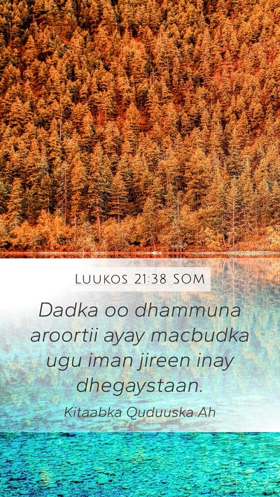Luukos 21:38 SOM Bible Verse Image