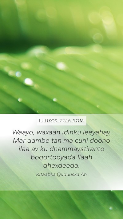 Luukos 22:16 SOM Mobile Phone Wallpaper - Waayo, waxaan idinku leeyahay, Mar dambe tan ma - Mobile Bible Verse Wallpaper