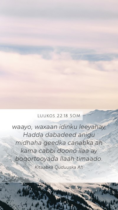 Luukos 22:18 SOM Bible Verse Image