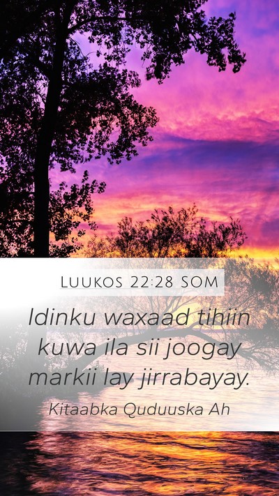 Luukos 22:28 SOM Bible Verse Image