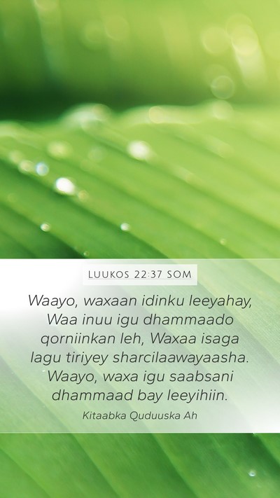 Luukos 22:37 SOM Bible Verse Image